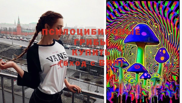 каннабис Аркадак