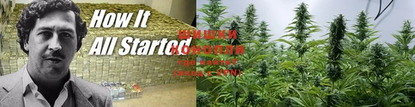 каннабис Аркадак