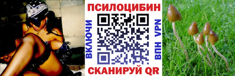 Псилоцибиновые грибы ЛСД  наркотики  Саров 